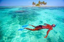 Bluefinn242 Half Day Snorkeling Tour in the Bahamas