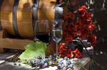 2-Day The Wine and Pisco Route in Paracas from Lima