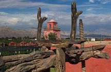 2-Day The Wine and Pisco Route in Paracas from Lima