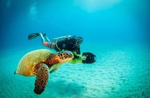 Kauai's Ultimate Scooter Adventure 2 Tank Dive (Advance Certified Divers Only)