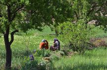 Marrakech : 1-Day Trip to the Ourika Valley