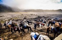Bromo Adventure