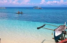 Cebu Moalboal Beach, Sardine Run, Sea Turtle Viewing + Canyoneering Tour