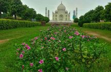 Luxury Taj Mahal and Agra Day Tour from Delhi. Maharaja Private Tour.
