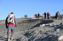 Kilimanjaro Rongai Route 5 Days Trekking
