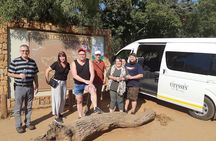 Pilanesberg National Park Full-Day Tour from Johannesburg