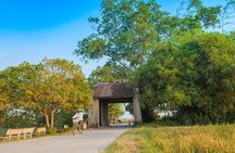 Duong Lam Ancient Village Private Tour: Ancient Vestage, Fortress