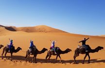Group - 1 night Desert tour from Fes to Marrakech or back to Fes