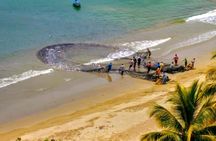 The Grand Circle 12-Hour All-Inclusive Island Experience