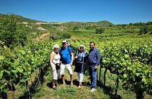 Winetasting tour in Alpeta winery - Roshnik village by 1001 Albanian Adventures