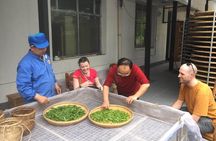 4 Days Zhangjiajie Classic Tour & Activities (5-star Hotel)
