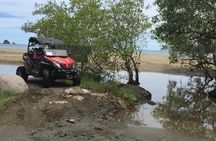 Private Beach and Mountain Buggy Tour in Guanacaste