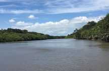 Costa Rican Wildlife: Palo Verde National Park Private Tour