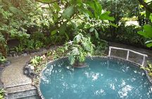 Arenal Volcano River Horseback Riding Tour