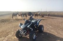 Quad Biking & camel ride Agafay desert with Lunch or dinner