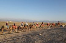 Quad Biking & camel ride Agafay desert with Lunch or dinner