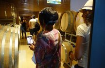 Wine Tour Privado a Colonia Caroya, Córdoba - Argentina