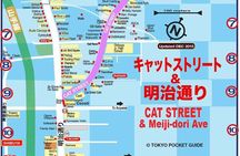 Essential tour for fashion and art in Tokyo for 6 hours with local lunch
