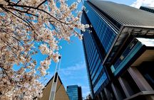 Essential tour for fashion and art in Tokyo for 6 hours with local lunch