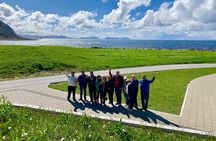 Alesund Sightseeing tour Vikings islands by minibus, 4 hours. Private tour
