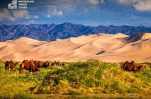  3 days Semi Gobi Desert and Chinggis Khaan Statue