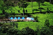 Camping Suriyaneli/Munnar Kerala