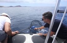 Whale Watching and Marine Science Tour
