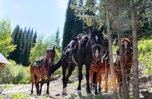 Horse riding adventure in mountains! 