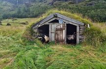 Iceland's south coast G spots