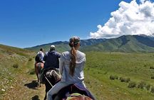 Horse riding adventure in mountains! 