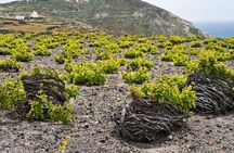 Santorini Private Wine Tour
