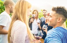 Paso Robles Wine Adventure with pickup from Morro Bay, CA