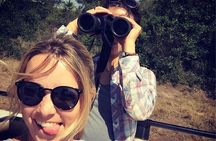 From Kigali: 2 Days Akagera National Park Wildlife Safari