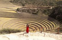Maras Moray and Salt Mines With Alpaca Farm Private Tour 2025