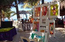 North Shore Tour