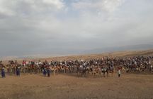 Private Camel Ride in Agafay desert 