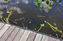 Private Everglades Airboat Tour with Pick up and Everglades Guide