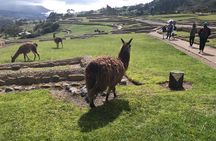 The Best of Ingapirca: an Adventure to the Ecuadorian Machu Picchu