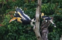 Khao Sok Wildlife 2 Days
