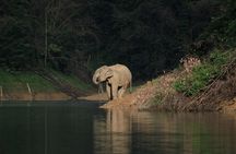Khao Sok Wildlife 2 Days