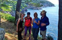 Kolocep Island Hiking and Swimming Full Day Trip from Dubrovnik