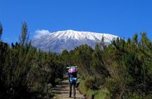 Mt.kilimanjaro-machame Route
