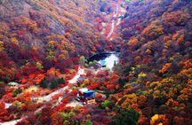 Classic Naejangsan National Park One Day Tour (Autumn Limited）