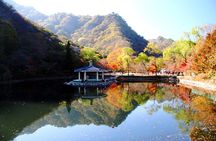 Classic Naejangsan National Park One Day Tour (Autumn Limited）