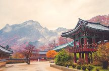 Classic Naejangsan National Park One Day Tour (Autumn Limited）
