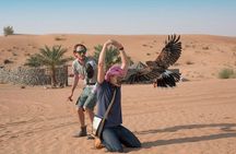 Morning Falconry & Nature Desert Safari with Transfers from Dubai