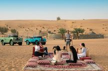 Morning Falconry & Nature Desert Safari with Transfers from Dubai