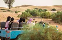 Overnight Desert Safari - Vintage Land Rovers & Traditional Activities