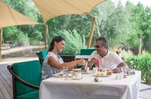 Dubai: Private Falconry Experience & Breakfast at Al Maha Resort
