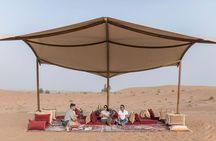 Private Falconry Experience and Nature Desert Safari in Dubai